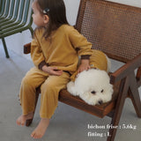 VELOUR DOG WEAR11