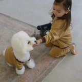 VELOUR DOG WEAR12