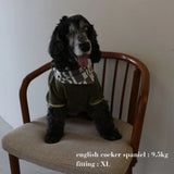 VELOUR DOG WEAR14