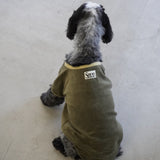 VELOUR DOG WEAR15