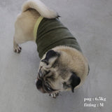 VELOUR DOG WEAR16