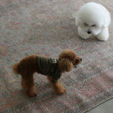 VELOUR DOG WEAR19