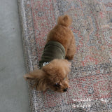 VELOUR DOG WEAR18
