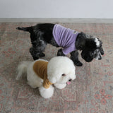 VELOUR DOG WEAR20