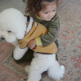 VELOUR DOG WEAR21