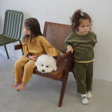 VELOUR DOG WEAR22