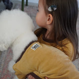 VELOUR DOG WEAR25