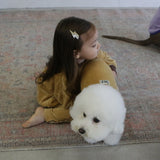 VELOUR DOG WEAR26