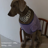 VELOUR DOG WEAR5