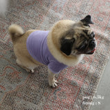 VELOUR DOG WEAR8