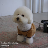 VELOUR DOG WEAR10