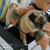MIXED BORDER KNIT DOG WEAR 12