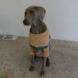 MIXED BORDER KNIT DOG WEAR 8