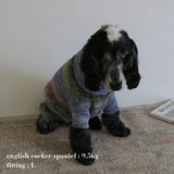 MIXED BORDER KNIT DOG WEAR 9