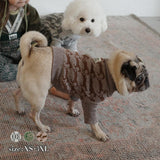 PATTERN JAGGARD DOG WEAR 1