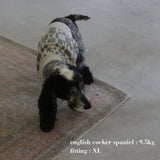 PATTERN JAGGARD DOG WEAR 13