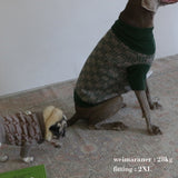 PATTERN JAGGARD DOG WEAR 14