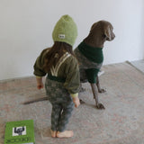 PATTERN JAGGARD DOG WEAR 17