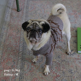 PATTERN JAGGARD DOG WEAR 5