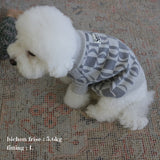PATTERN JAGGARD DOG WEAR 10