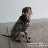 PATTERN DOG ROMPERS 15