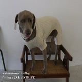 PATTERN DOG ROMPERS 18