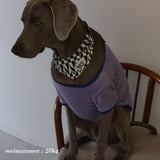 PATTERN DOG SCARF15