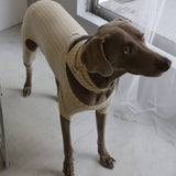 PATTERN DOG SCARF13
