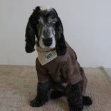 PATTERN DOG SCARF14