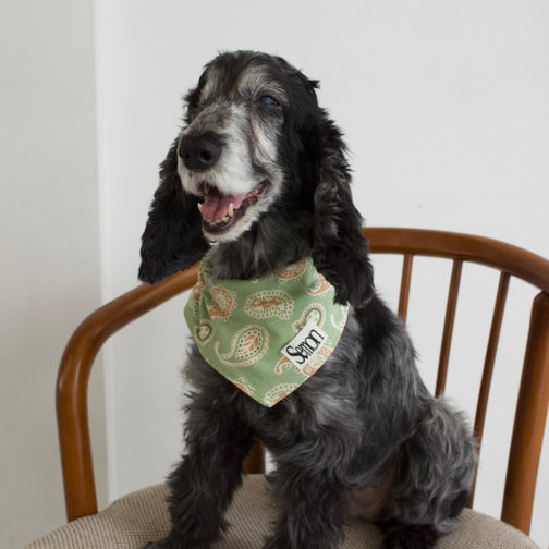 26SS NEW PATTERN DOG SCARF