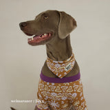 26SS NEW PATTERN DOG SCARF 5
