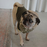 PATTERN DOG SCARF12