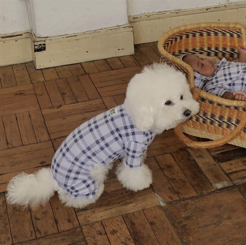PATTERN DOG ROMPERS