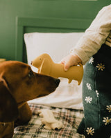 GOMMU MINI DOG 13