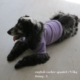 VELOUR DOG WEAR9