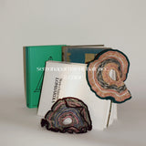 MIXED BORDER KNIT SCRUNCHIE1