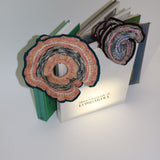 MIXED BORDER KNIT SCRUNCHIE10